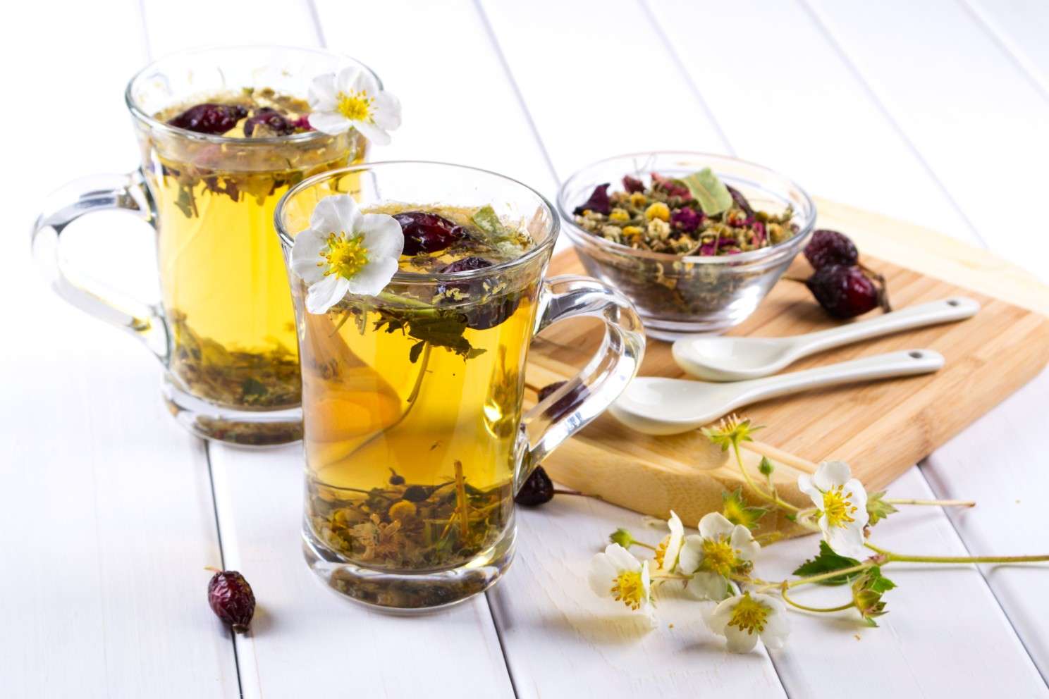 Pure Tea Revolution botanical loose leaf blend, from leaf to lifestyle