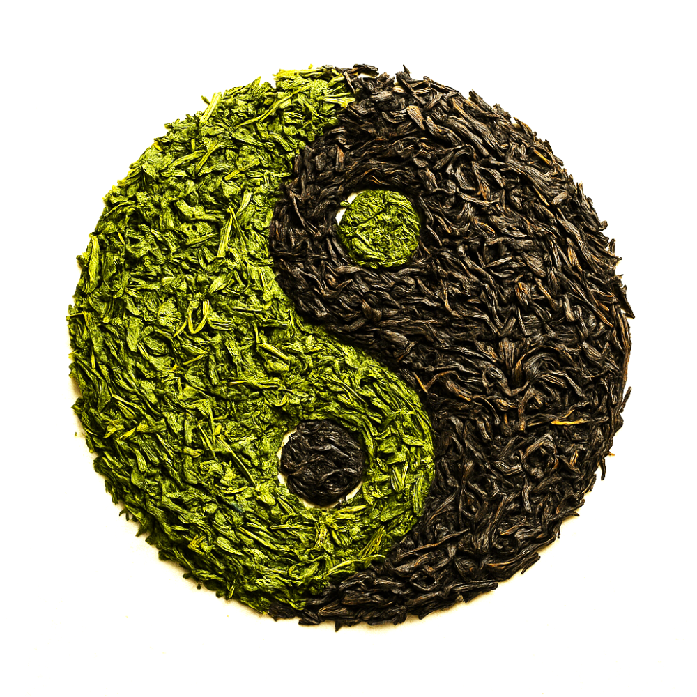 Green Tea and Black Tea leaves side by side, nature's antioxidant duo