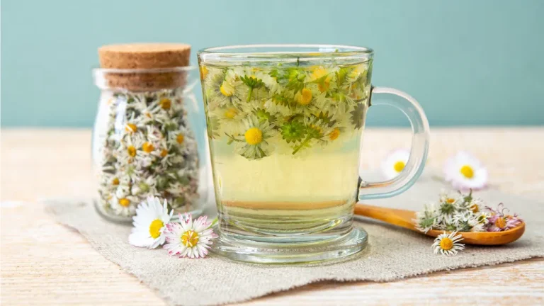 Founder Carmine Del Sordi was featured as a tea plant expert in Homes & Gardens, offering guidance on growing botanical tea ingredients at home — alongside industry peers from leading specialty tea companies.
