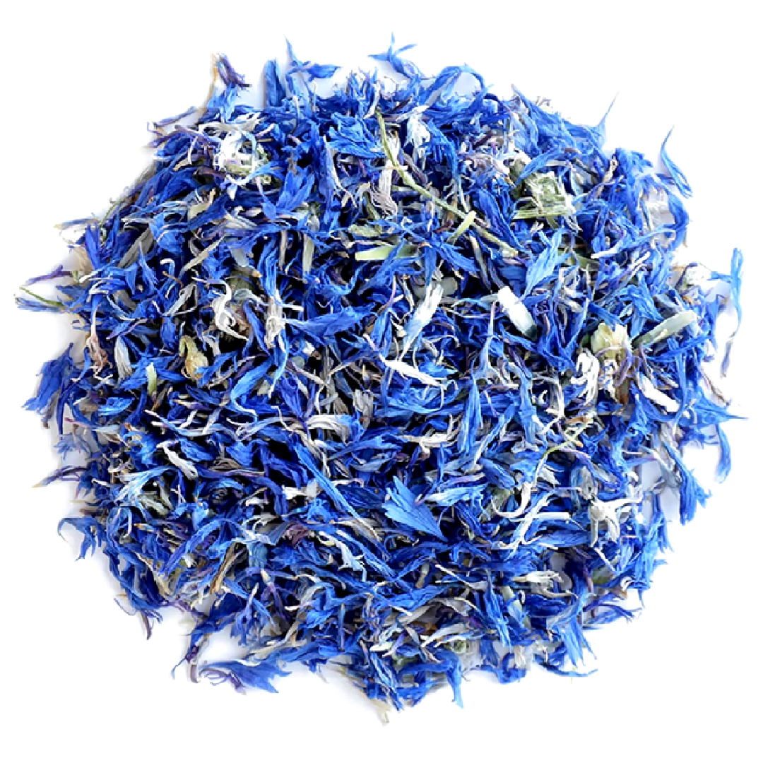 Blue Cornflower