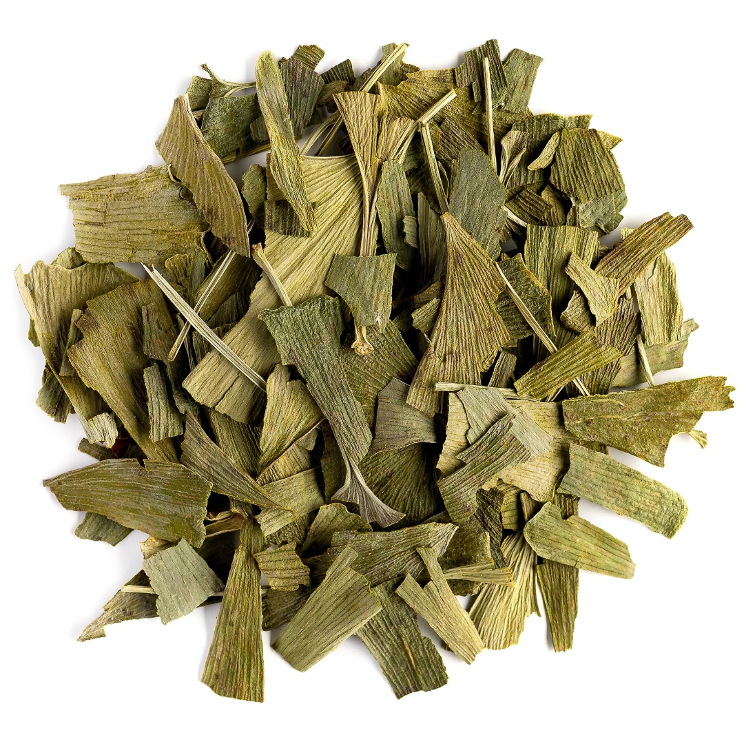 Ginkgo Leaf