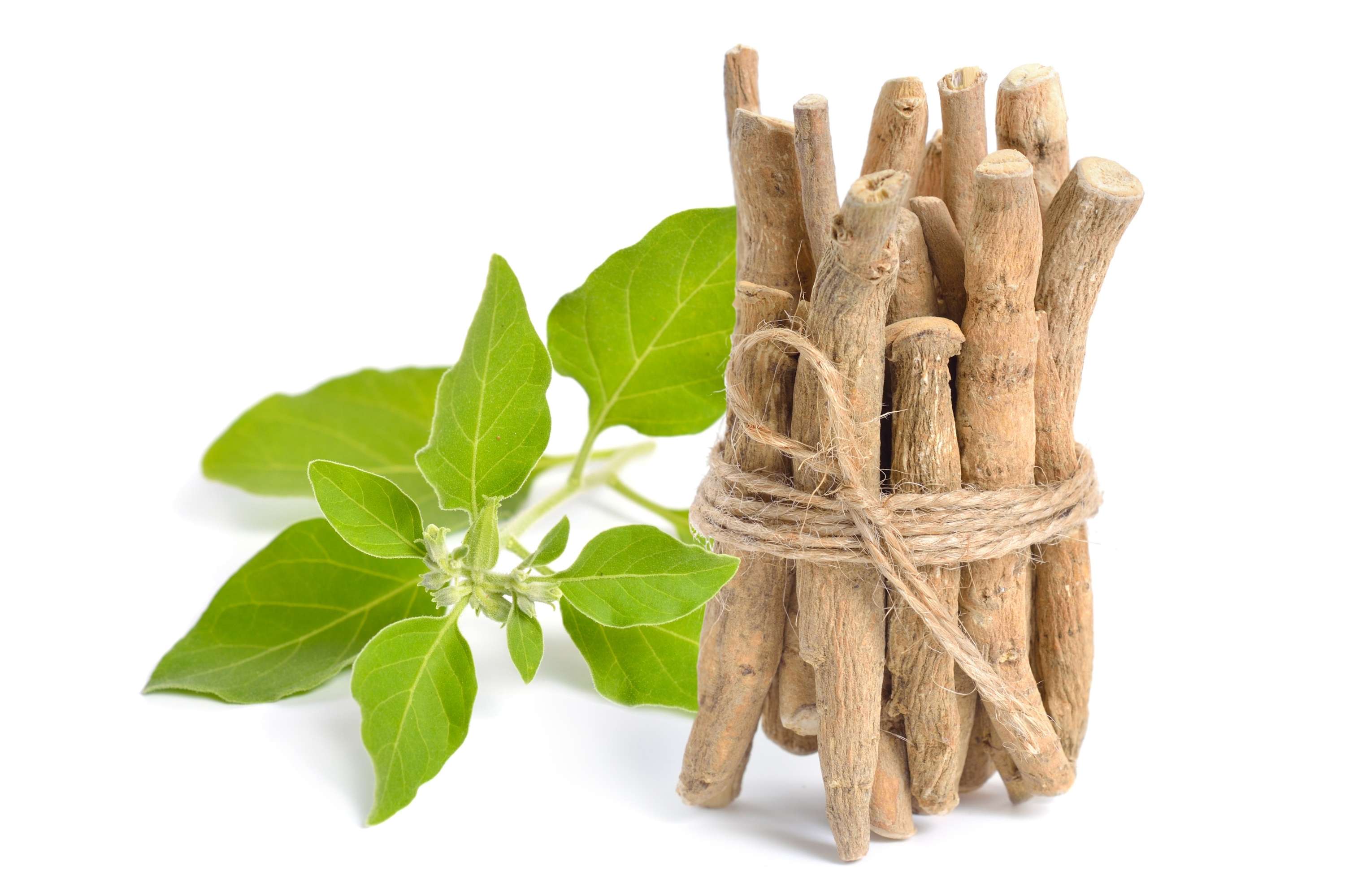 dried ashwagandha