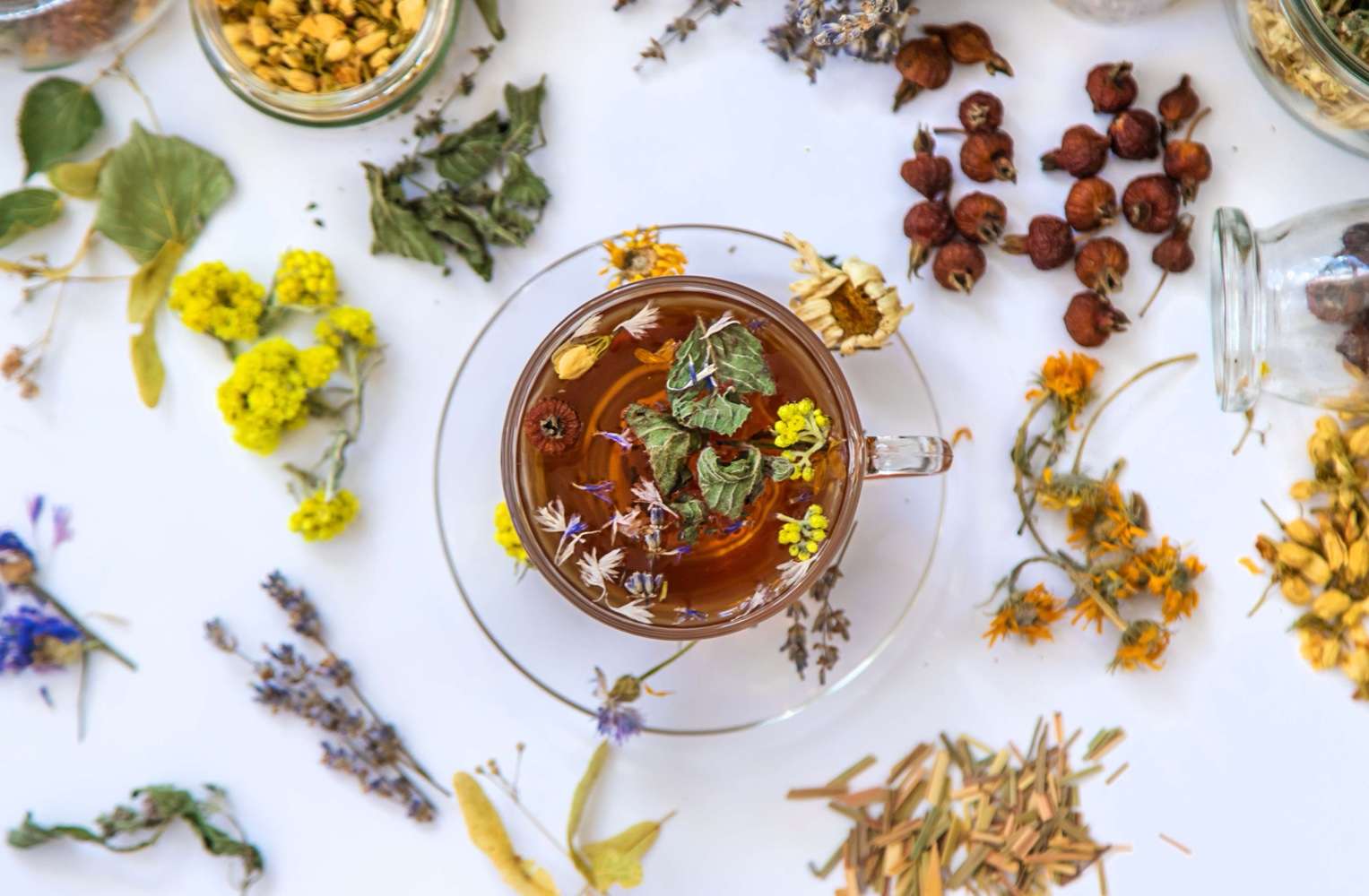 what is pure tea. functional tea brewing