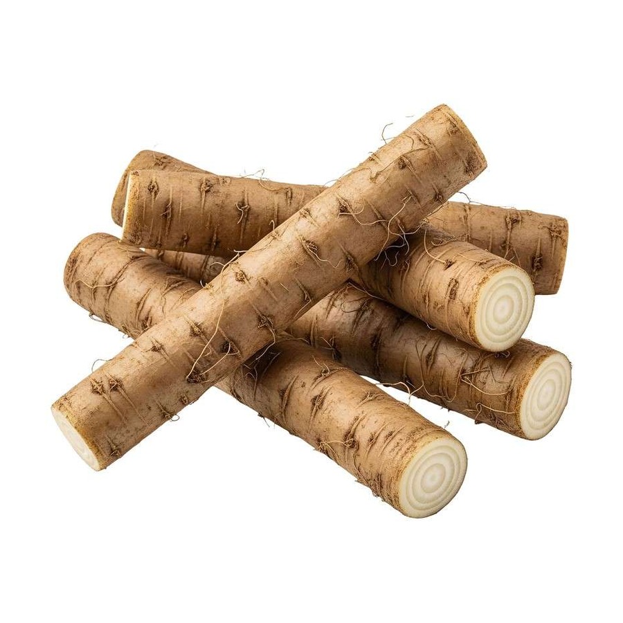 Burdock Root