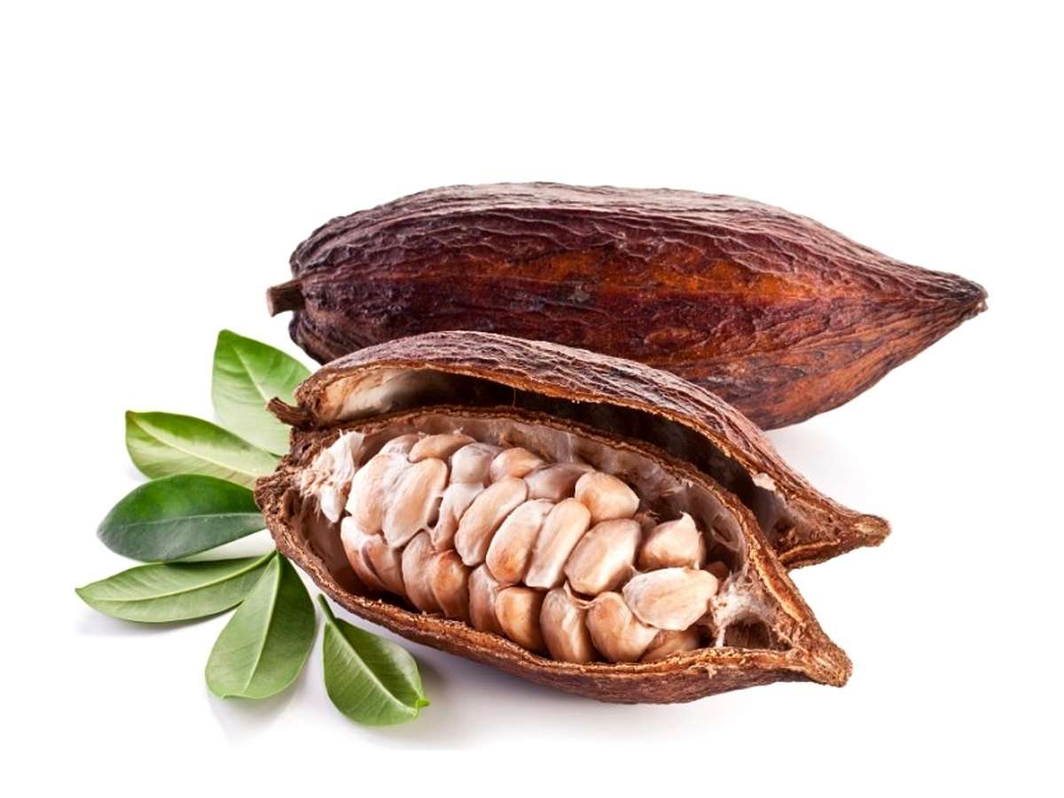 Cocoa