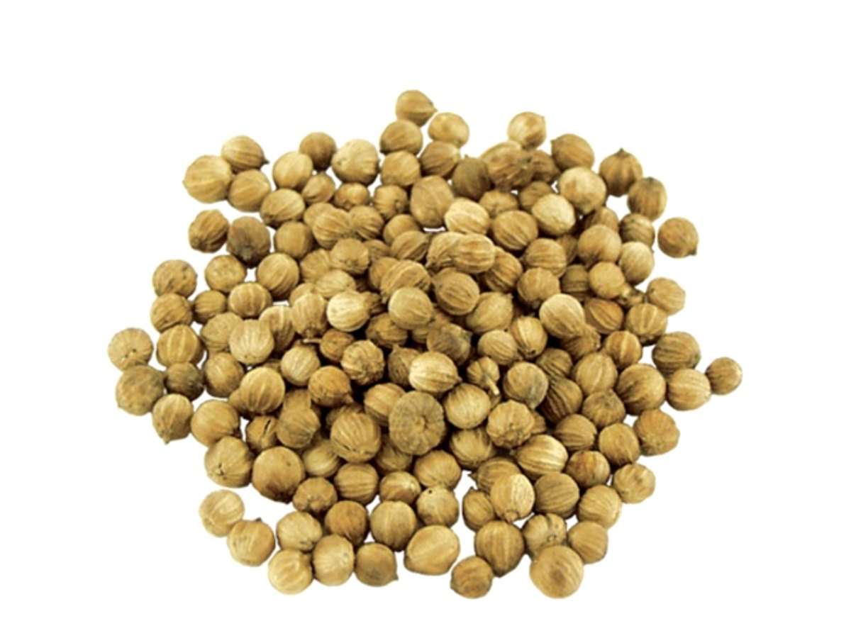 Coriander Seed