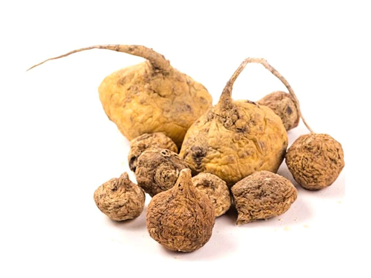 Maca Root