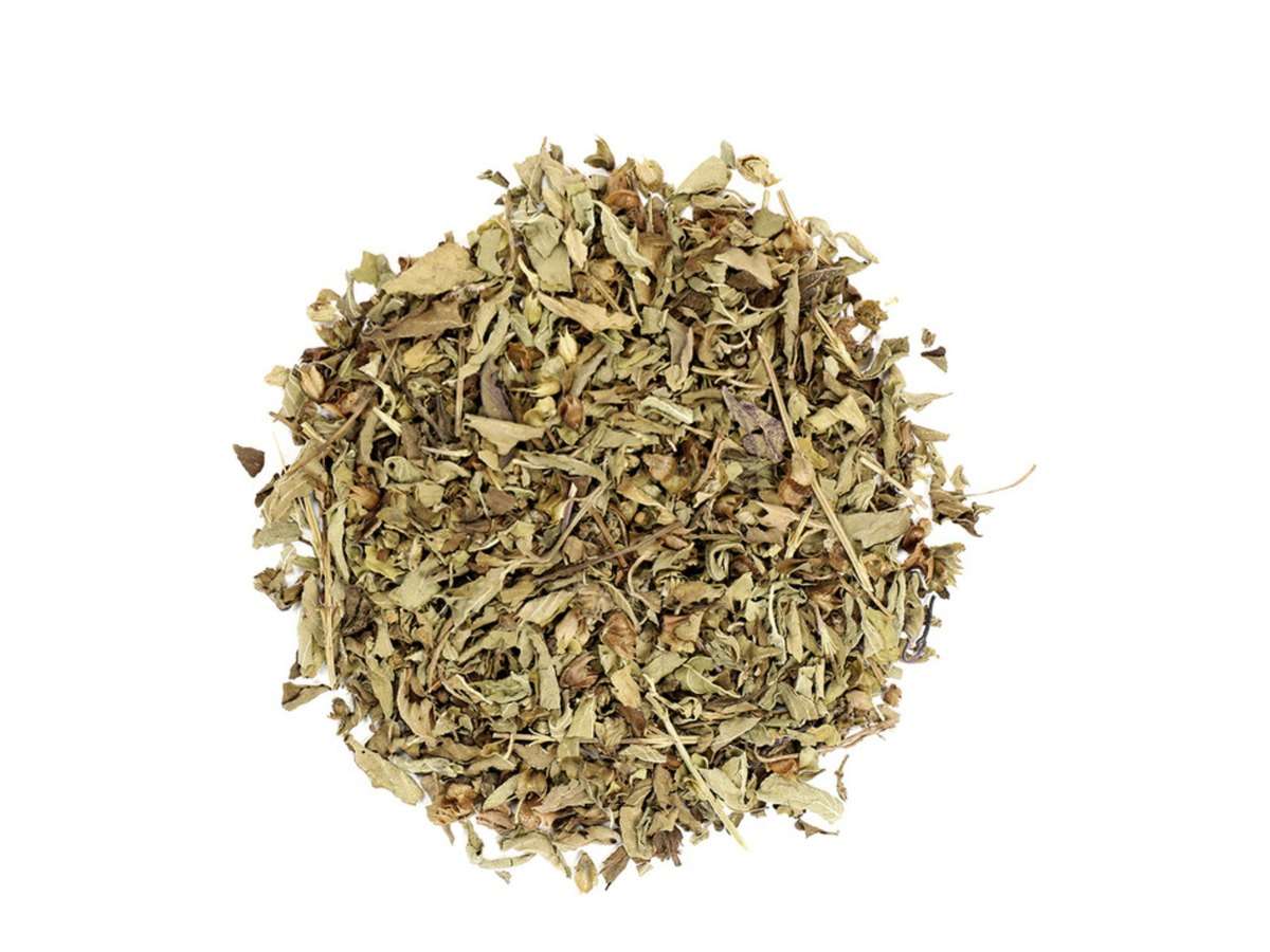 Holy Basil