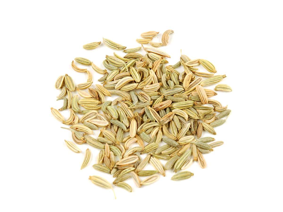 Fennel