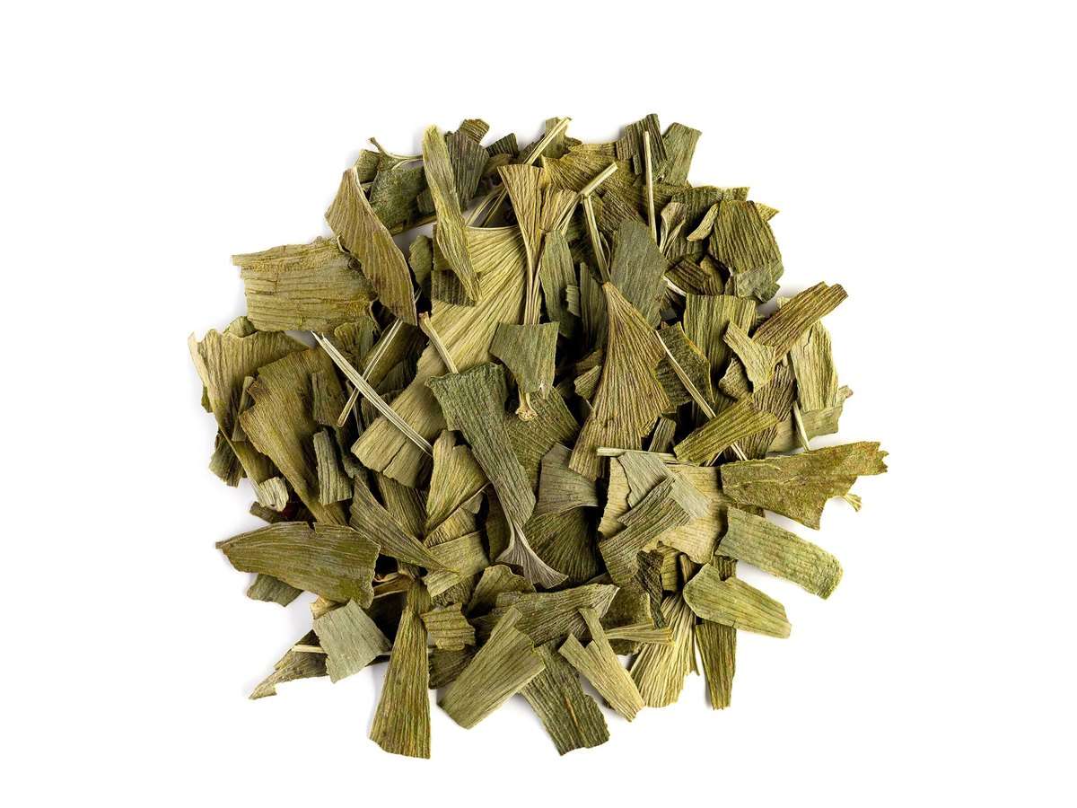 Ginkgo Biloba
