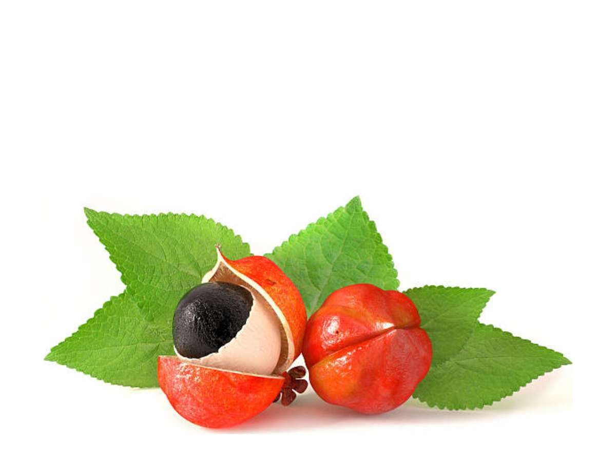 Guarana