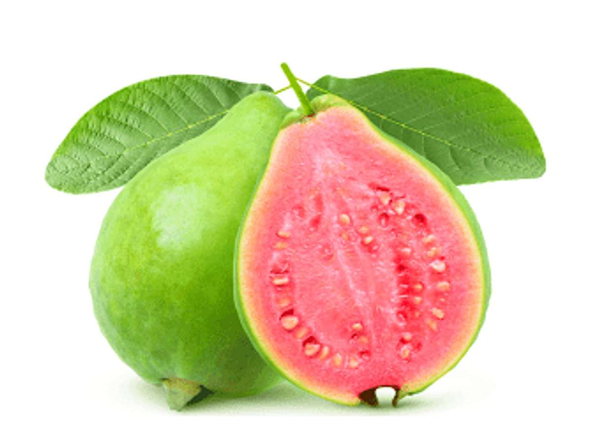 Guava Fruit