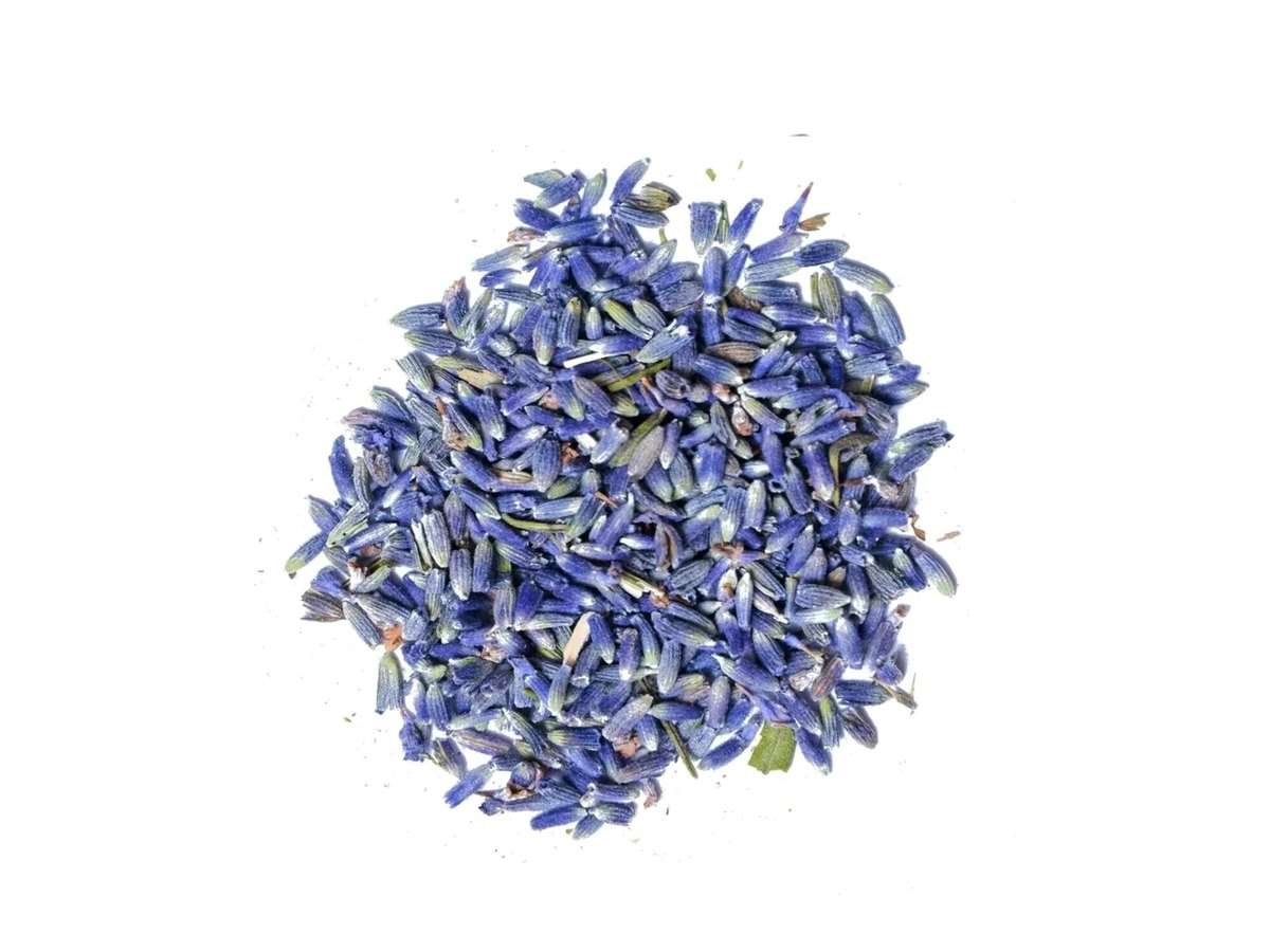 Lavender