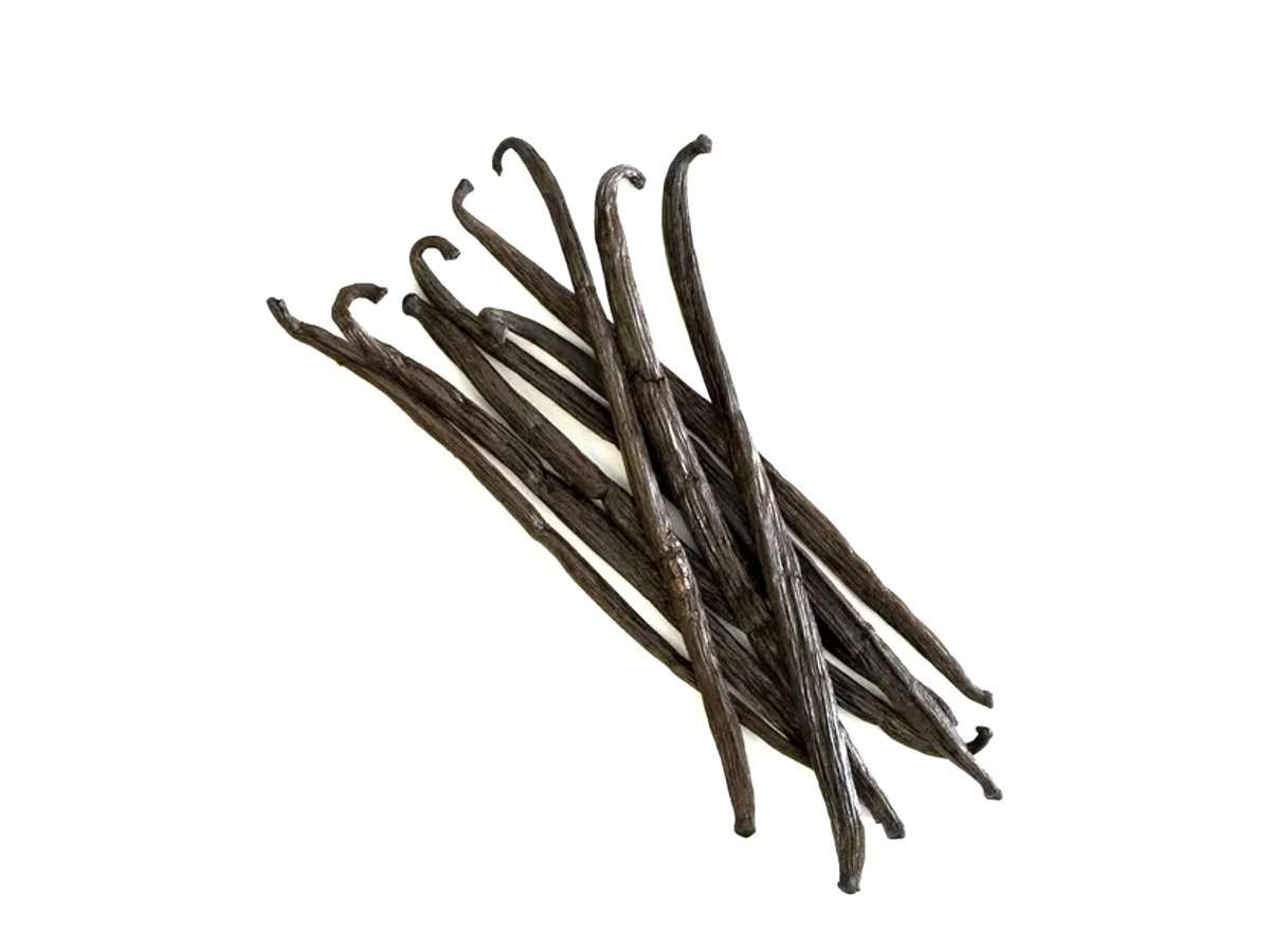 Vanilla Bean