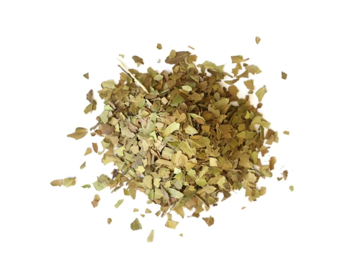 Yaupon