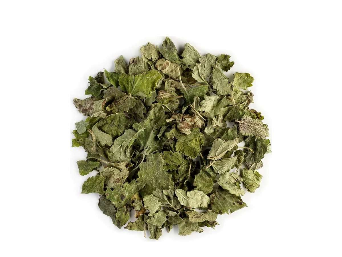 Lemon balm leaves