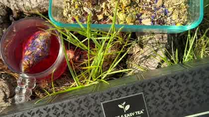 Serenity Pure Tea Experience video